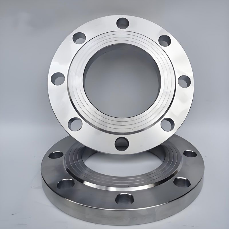 Slip-On Flange (Plate) view 2