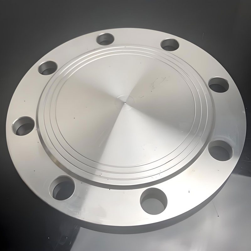 Blind Flange view 4